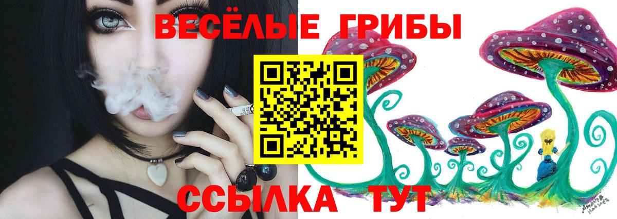 Псилоцибиновые грибы мухоморы  купить  цена  Ирбит  Галлюциногенные грибы Magic Shrooms  Вход с VPN 